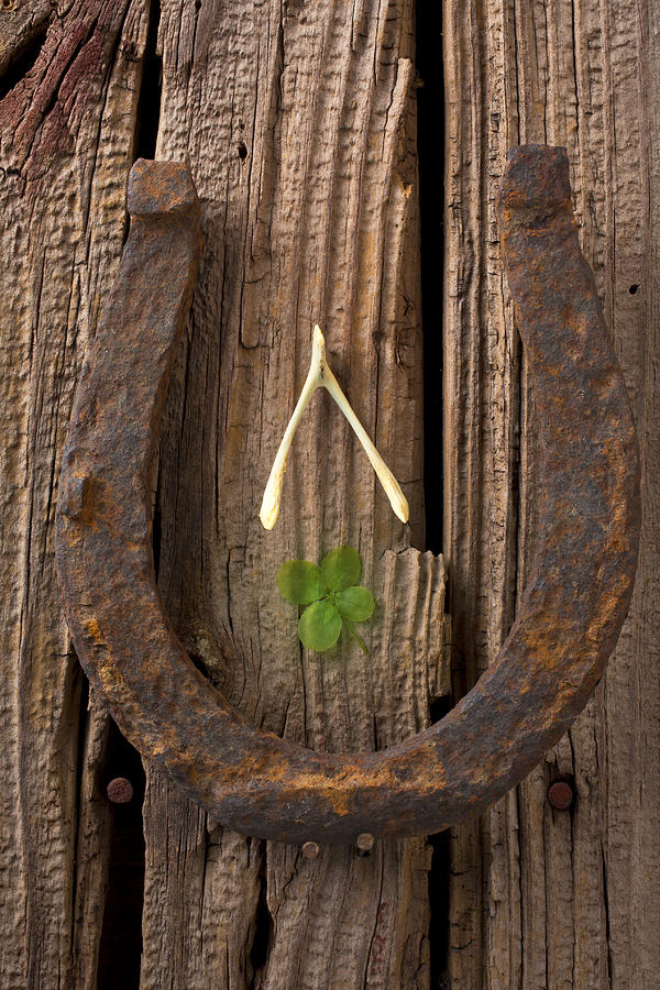 Lucky Horseshoe Photograph by Garry Gay