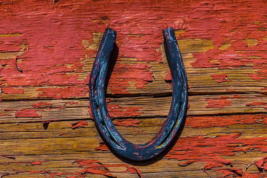 Lucky Rusty Horseshoe Photograph by Garry Gay
