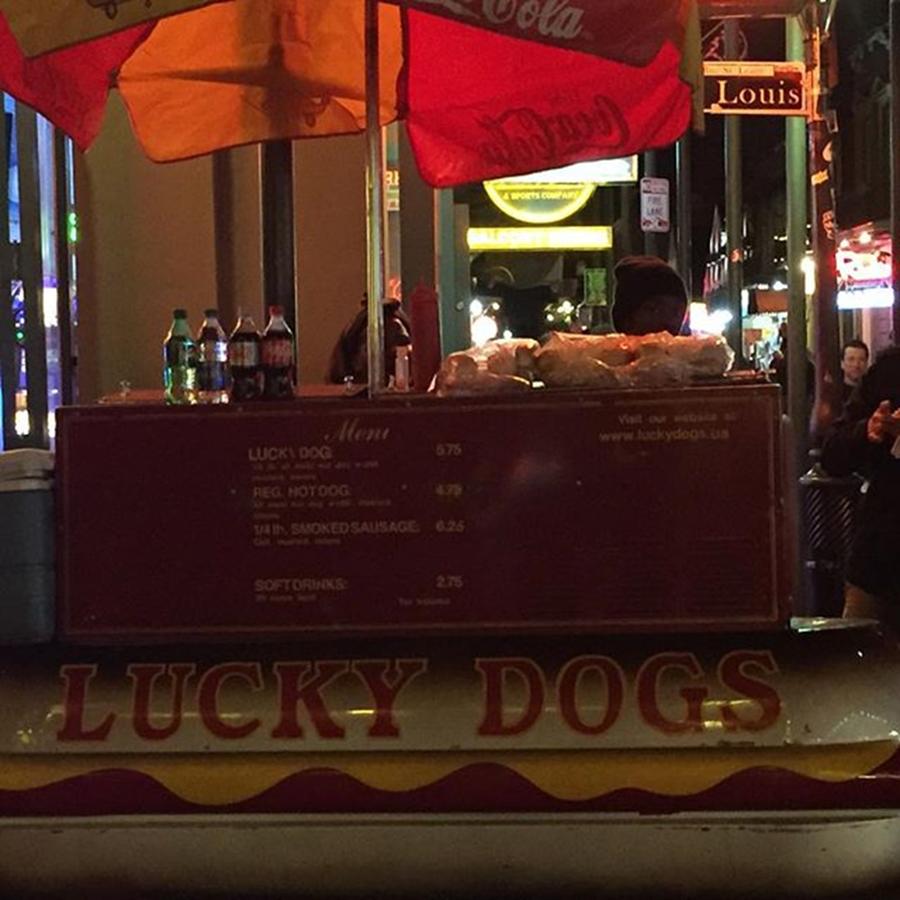Lousiana Photograph - #luckydogs #neworleans #lousiana by Gin Young