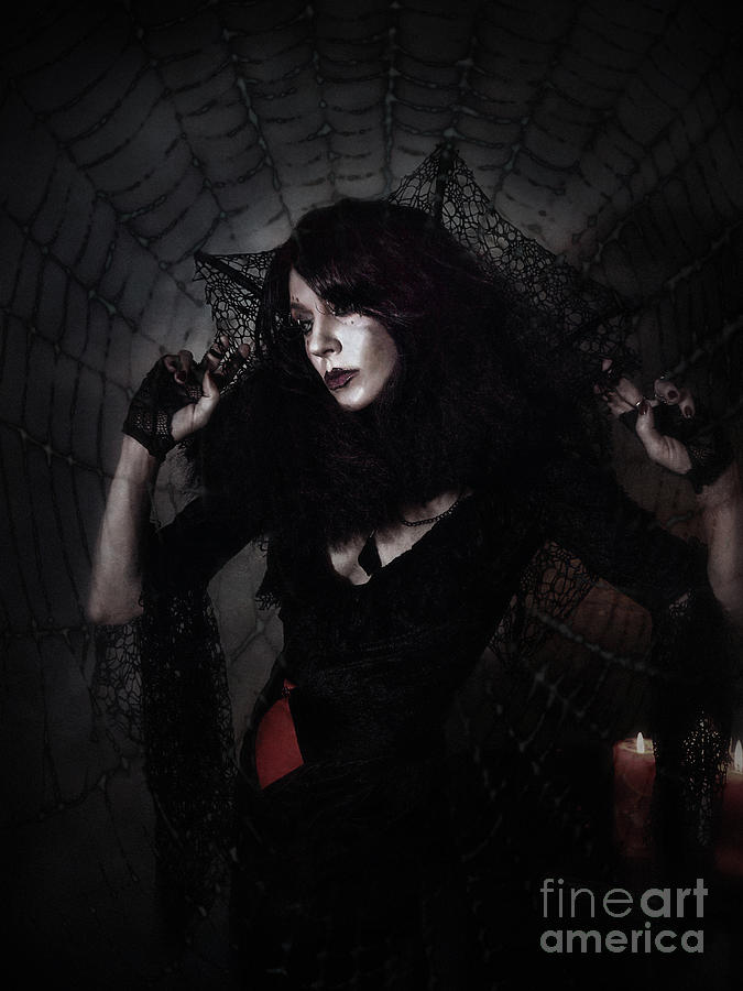 Black Widow Photograph - Lucretia by Spokenin RED