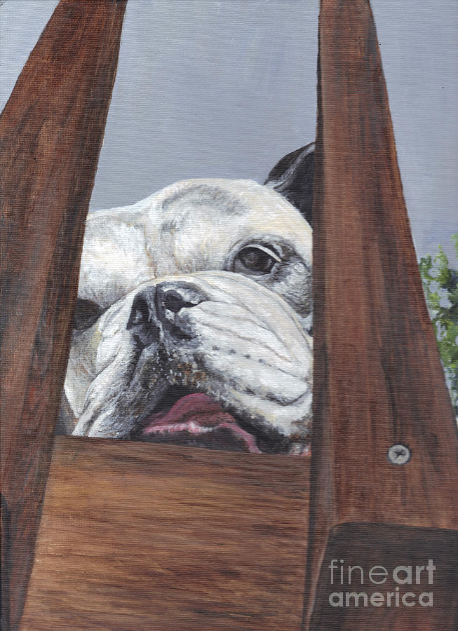 Dog Painting - Lucee by Carol Wisniewski