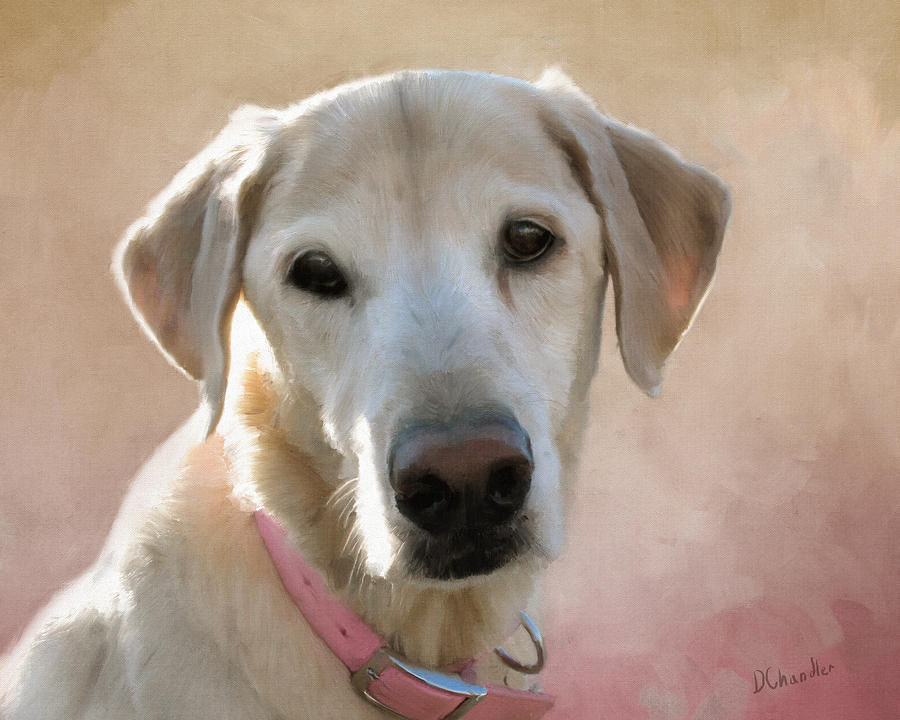 Lucy in Pink Painting by Diane Chandler