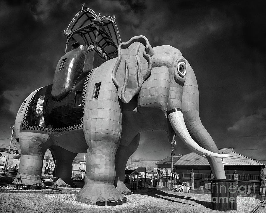Black And White Photograph - Lucy The Elephant Black and White, by Tom Gari Gallery-Three-Photography