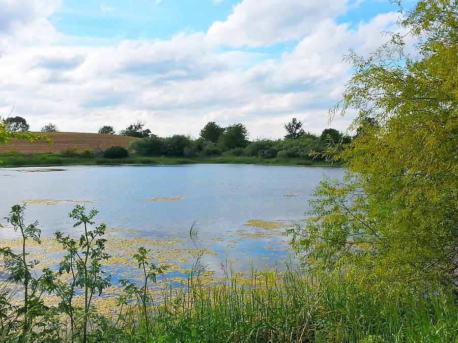Ludlow Pond Photograph