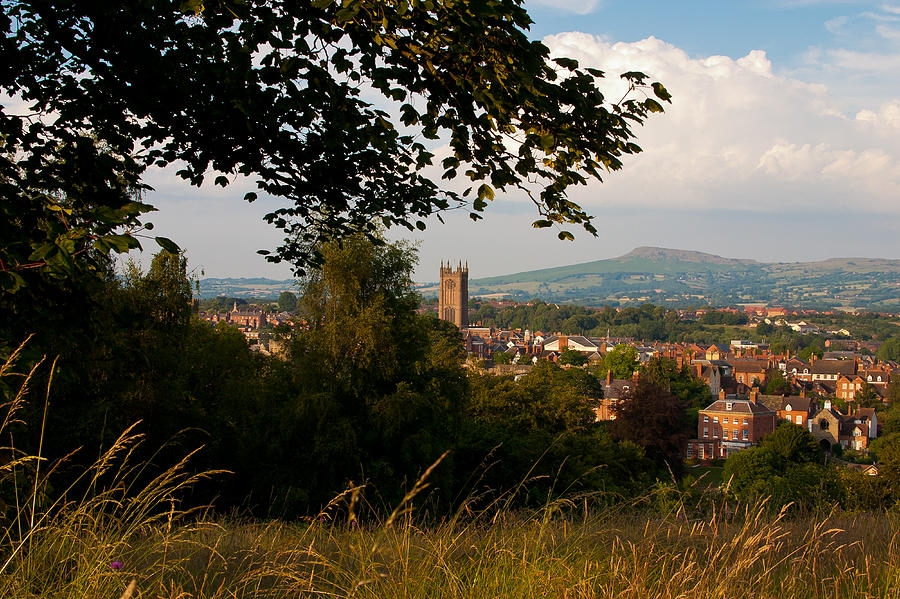 Tree Photograph - Ludlow village from the meadow by Jenny Setchell