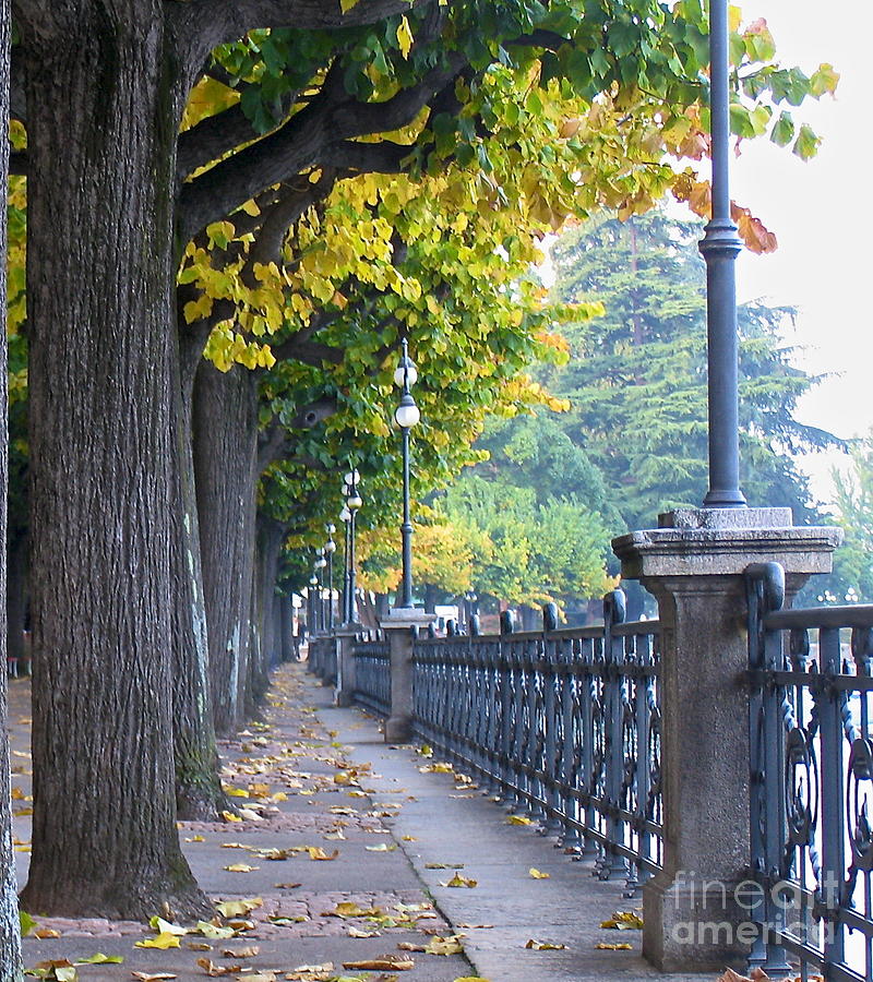 Lugano in the Fall Photograph by Suzanne Oesterling