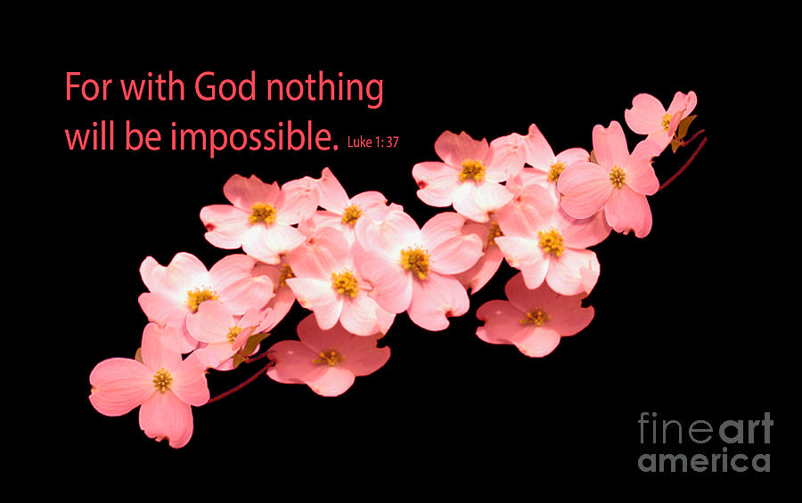 Luke 1 37 Nothing Impossible Photograph by Beverly Guilliams