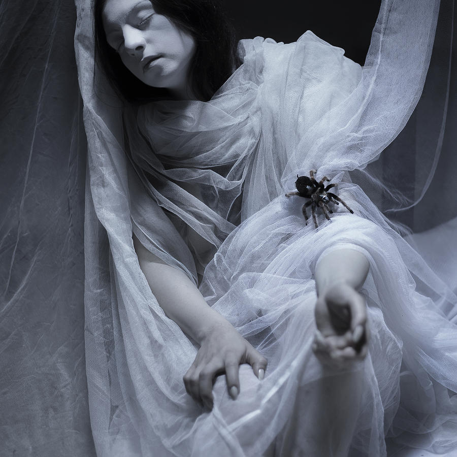 Halloween Photograph - Lullaby by Art of Invi