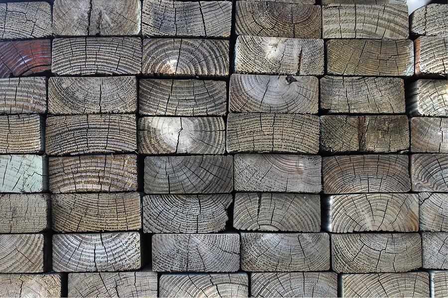 Lumber wood tree grain Photograph by Jane Linders