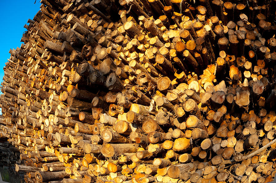 Lumber Yard #1 Photograph by Don Beard - Fine Art America