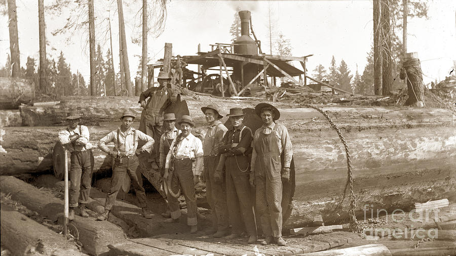 Lumberjacks Photograph - lumberjacks next to Redwood longs with a Steam Donkey by Monterey County Historical Society