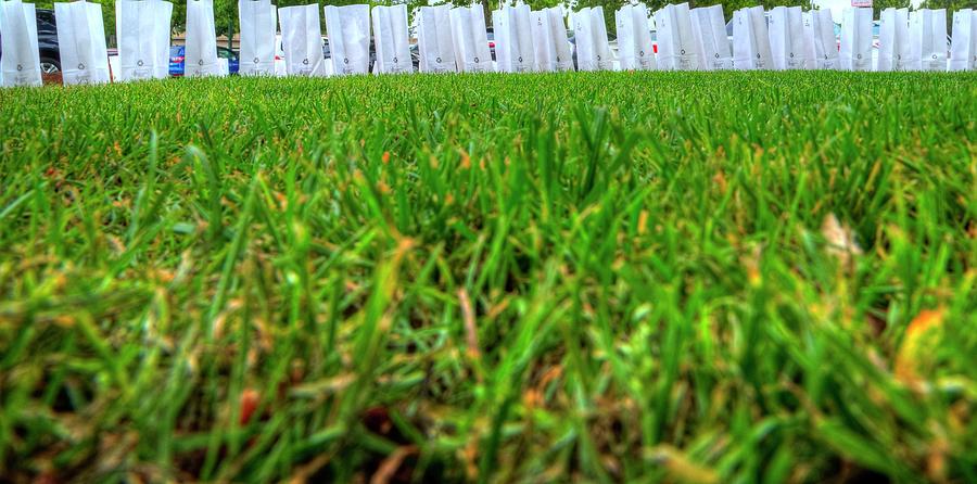 Luminaries Along The Grass Photograph by Jerry Sodorff