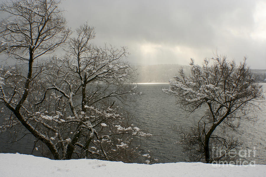 Winter Photograph - Luminescence by Idaho Scenic Images Linda Lantzy