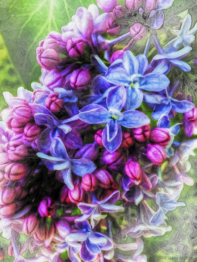 Luminescent Lilacs Photograph