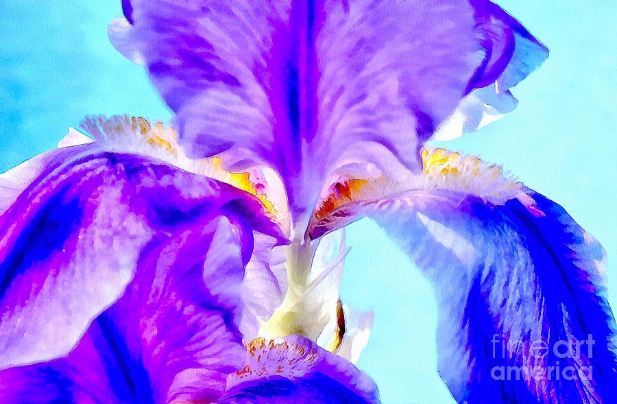 Luminous Iris Photograph by Krissy Katsimbras