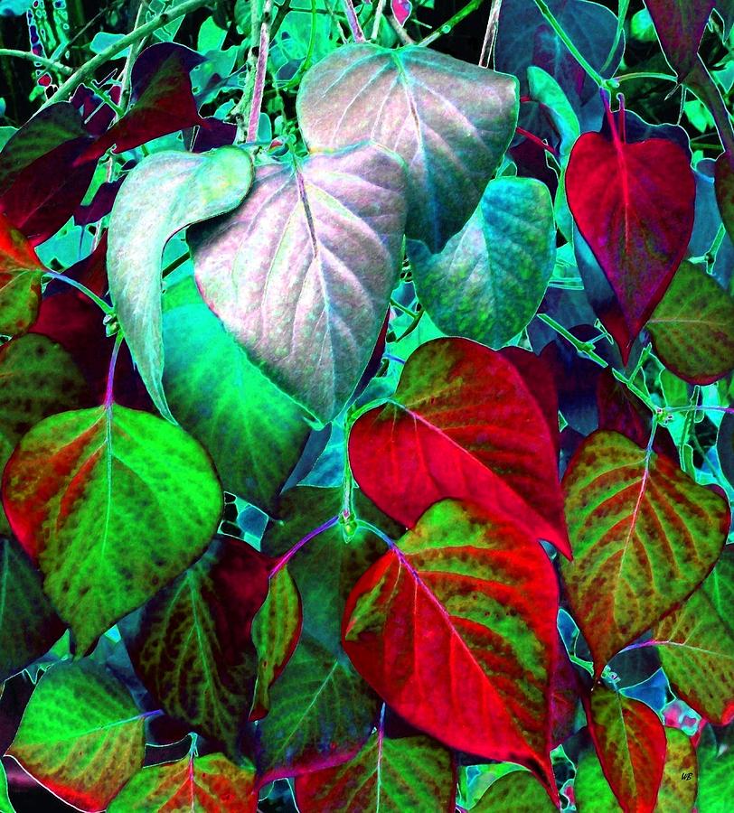 Luminous Lilac Leaves Digital Art by Will Borden