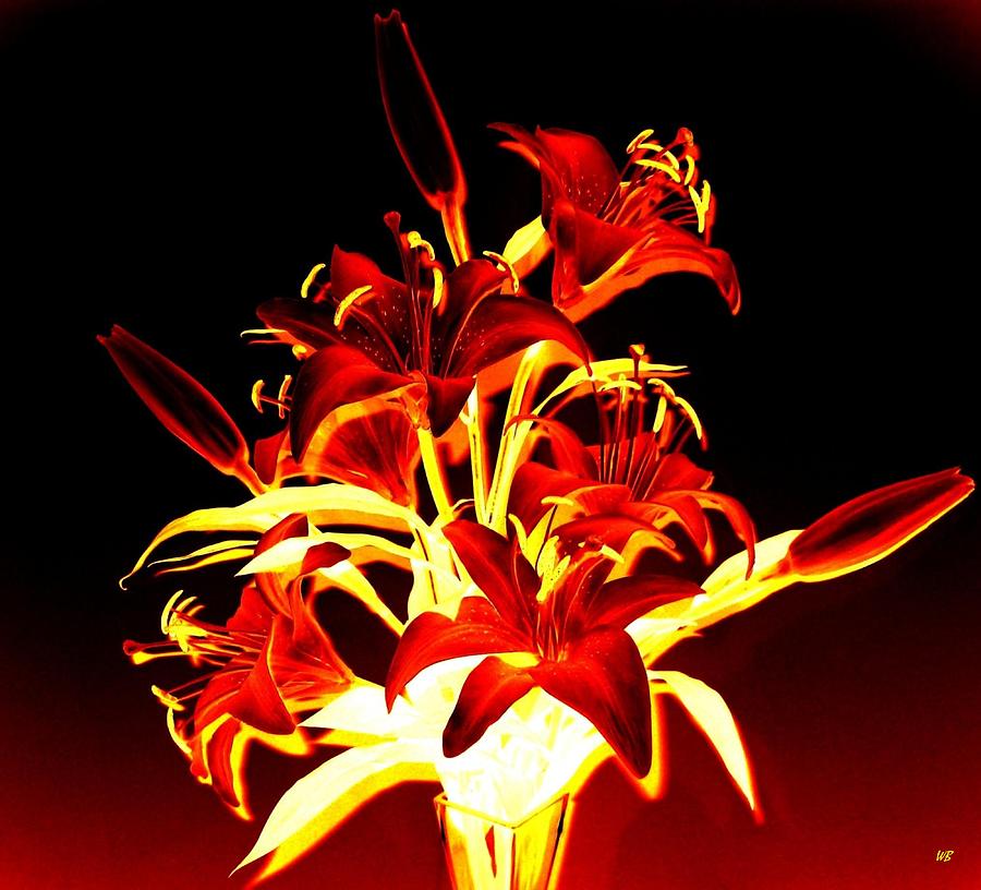 Luminous Lilies Digital Art by Will Borden