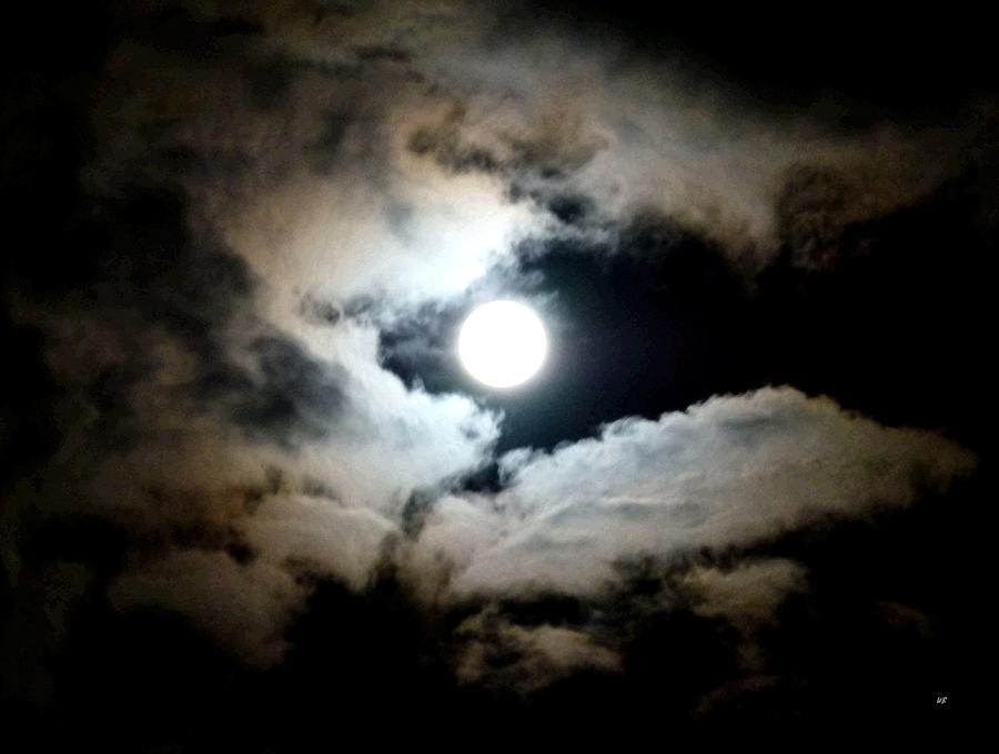 Lustrous Photograph - Luminous Moonlit Sky by Will Borden