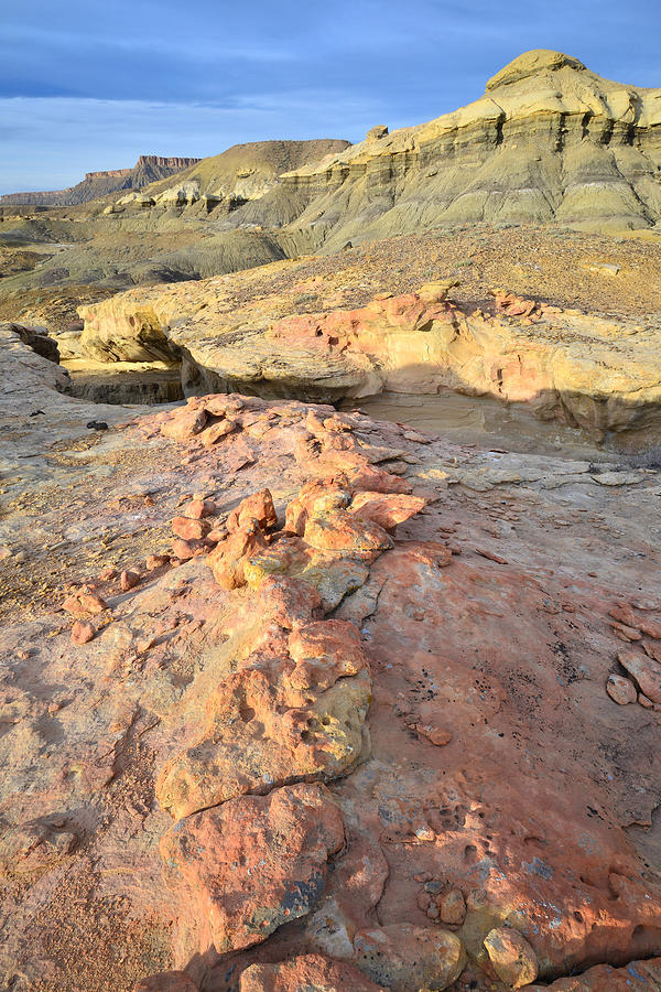 Luna Mesa Rock Art Photograph by Ray Mathis