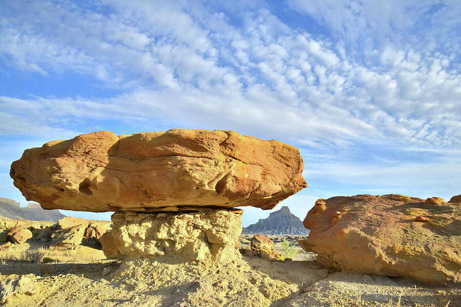 Luna Mesa Toad Stool Photograph by Ray Mathis