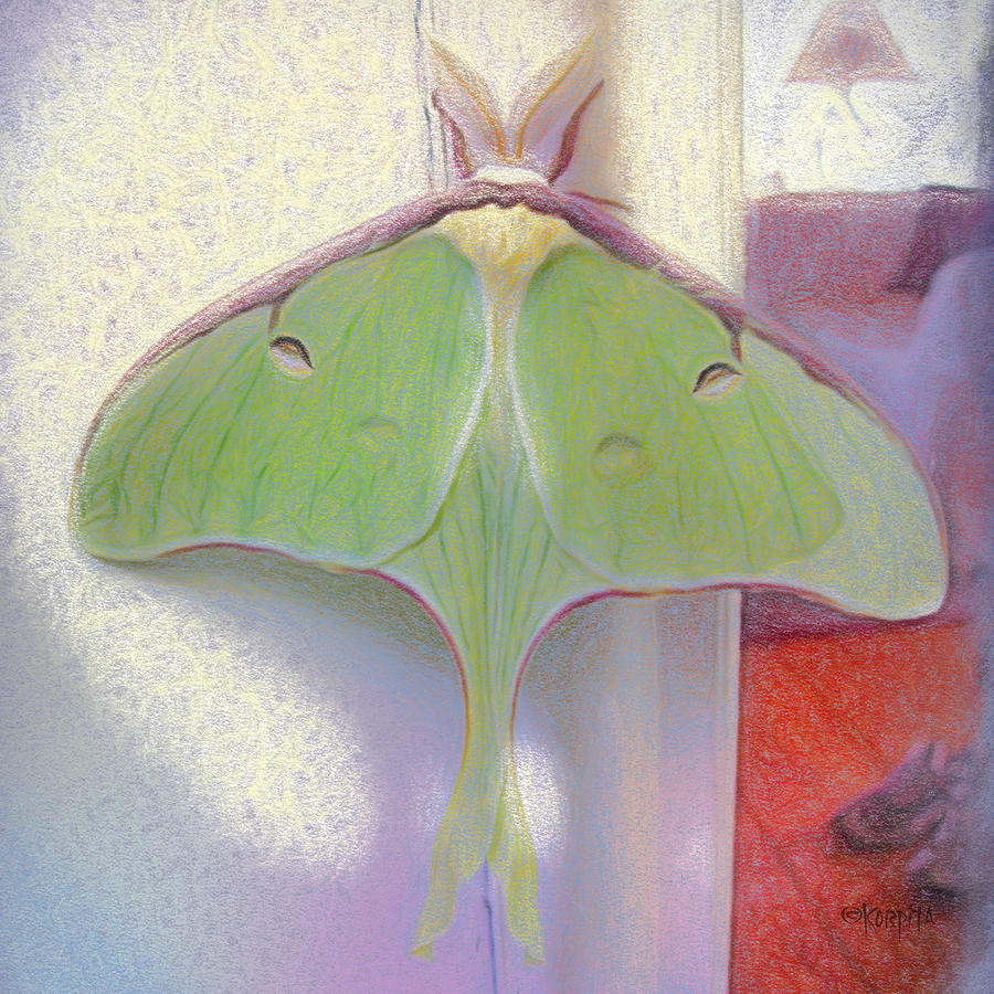 Luna Moth Came to Visit Photograph by Rebecca Korpita
