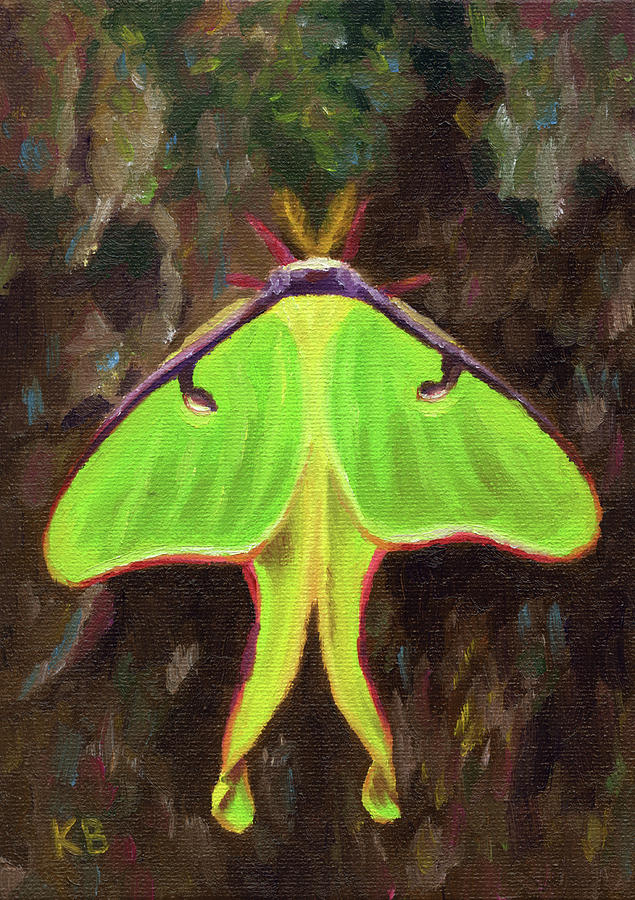 Luna Moth Painting By Karen Broemmelsick 