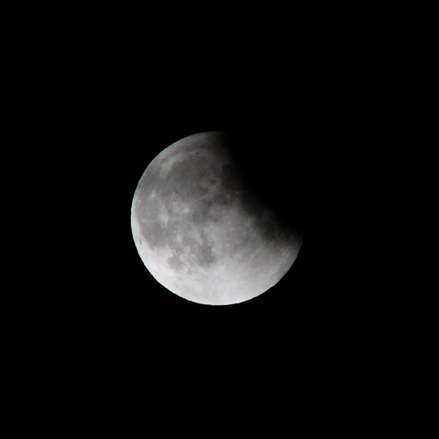 Lunar Photograph - Lunar Eclips by Cathie Douglas
