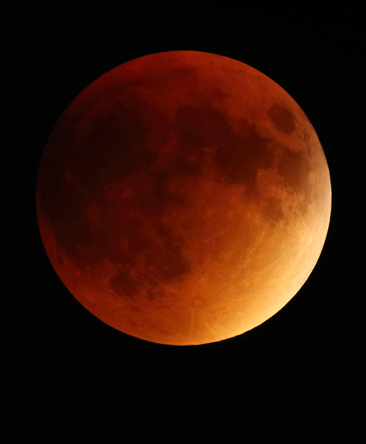 Lunar Eclipse 1 Photograph by Coby Cooper