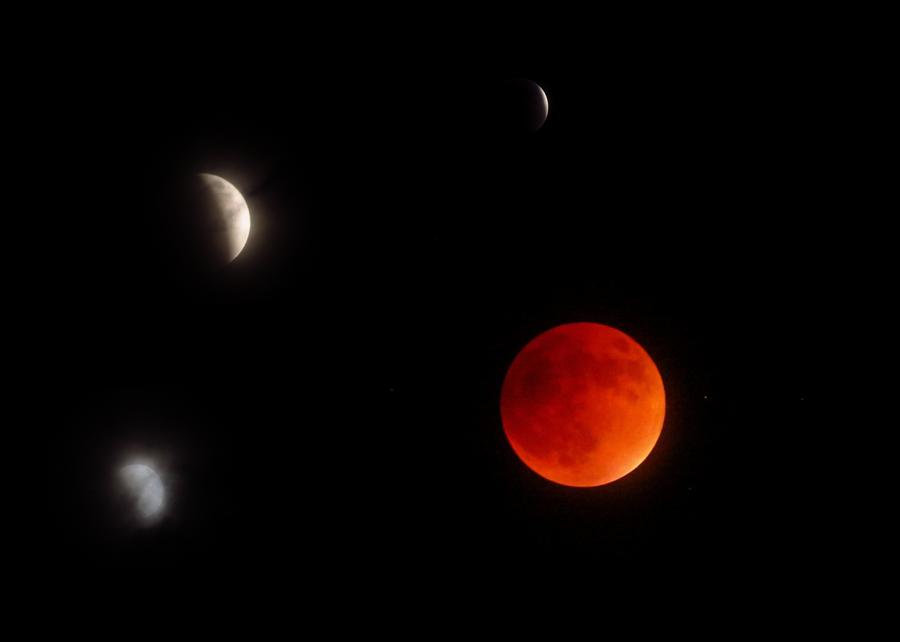 Lunar Eclipse 2 Photograph by Wanderbird Photographi LLC