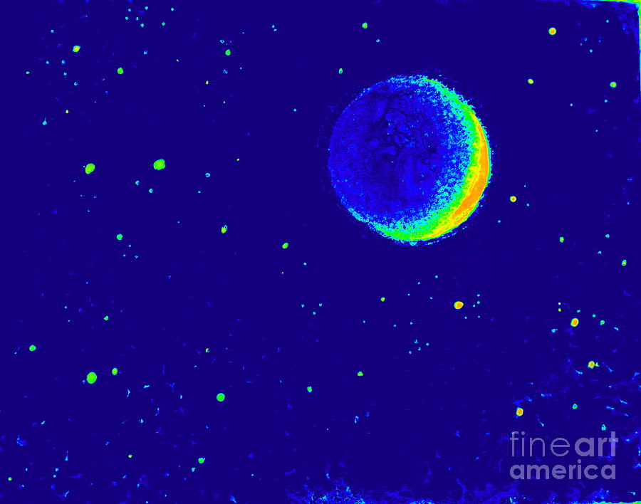 Lunar Eclipse #2 Digital Art by Susan Blackaller-Johnson