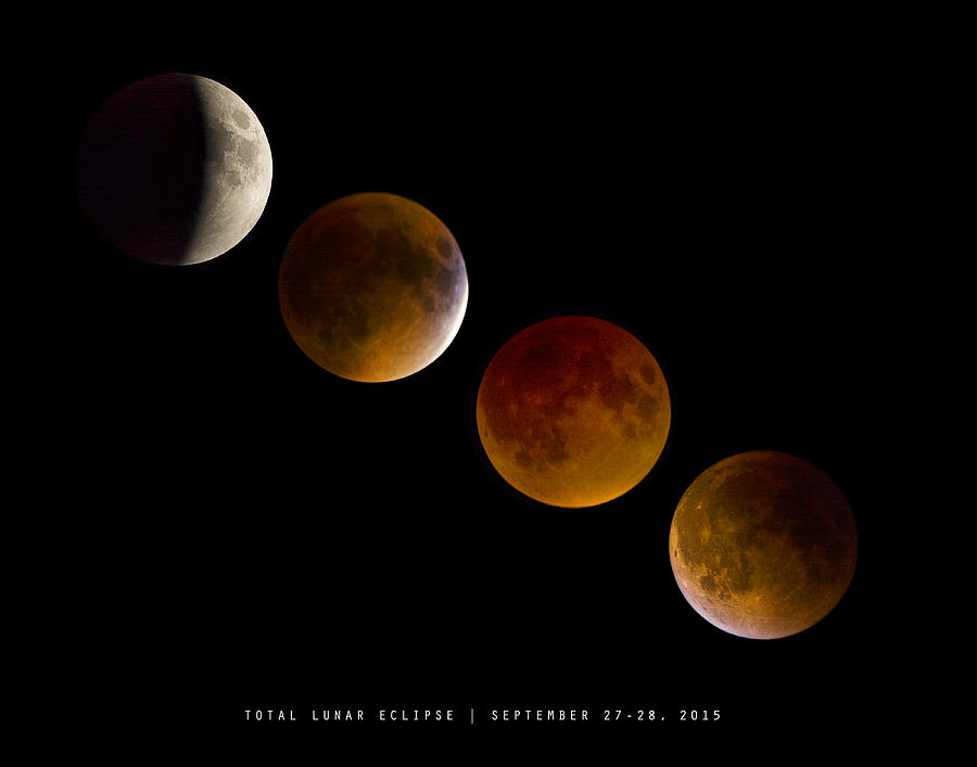 Lunar Eclipse 2015 Photograph by Andy Smetzer