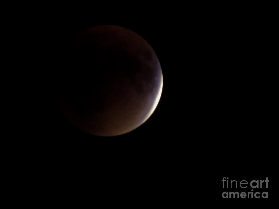 Lunar Eclipse 9-27-2015 Photograph by Mim White