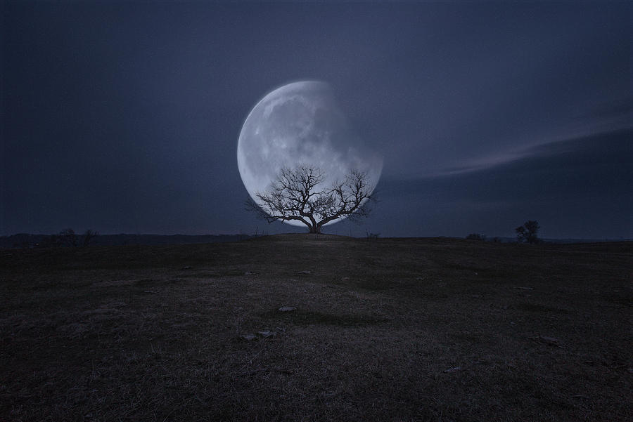 Lunar Eclipse Photograph by Aaron J Groen