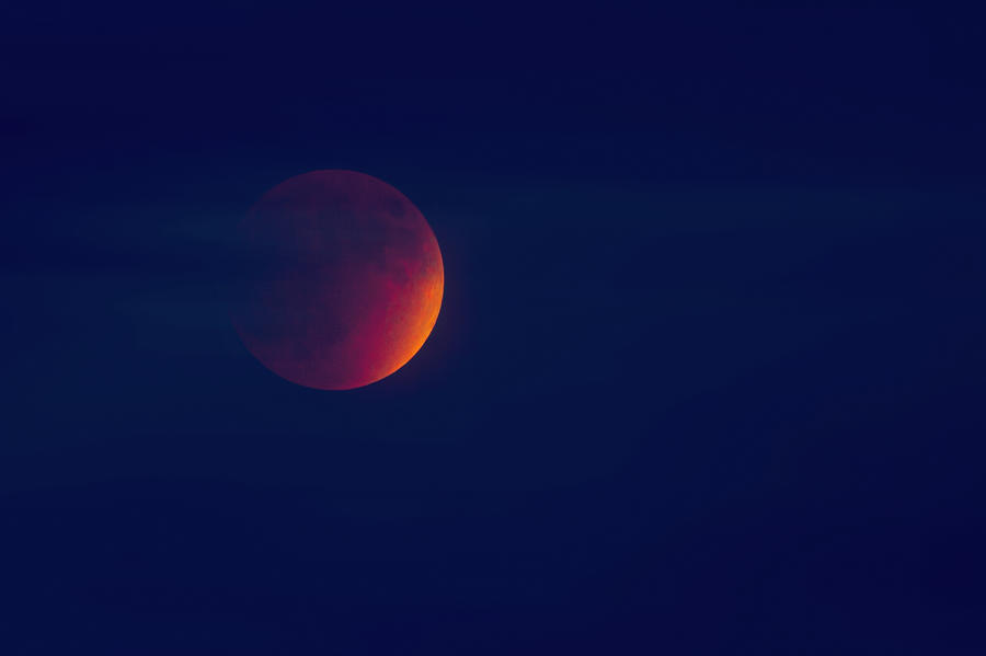 Lunar Eclipse Blood Moon Photograph by Mark Andrew Thomas