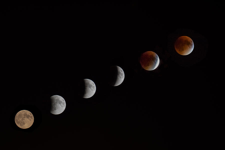 Lunar Eclipse  Photograph by Brian MacLean