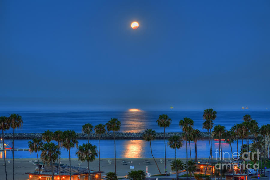 Lunar Eclipse Photograph by Eddie Yerkish