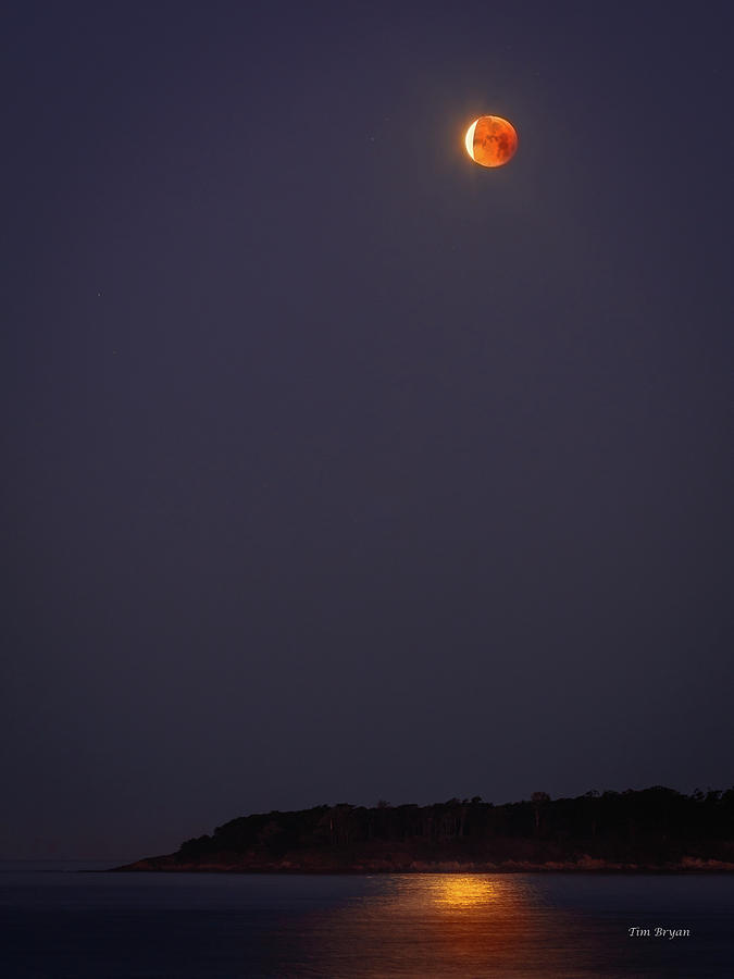Lunar Eclipse Photograph - Lunar Eclipse - January 2018 by Tim Bryan
