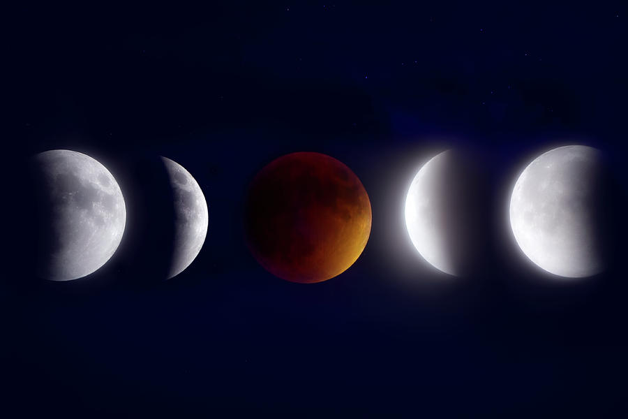 Lunar Eclipse Montage Photograph by Mark Andrew Thomas