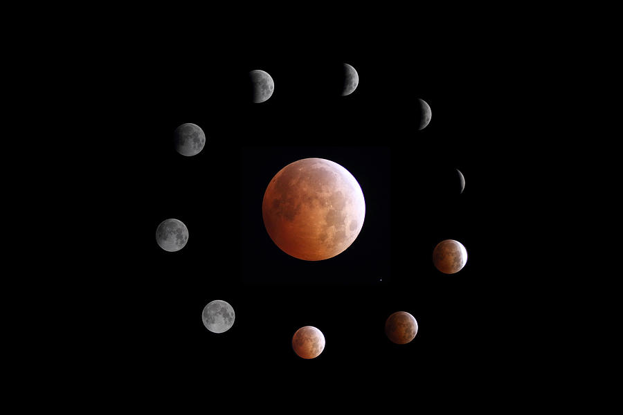 Lunar Eclipse Phases Photograph by John Chumack