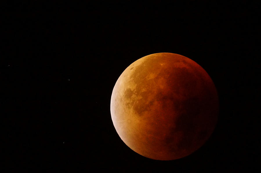 Lunar Eclipse Photograph by Ron Harpham