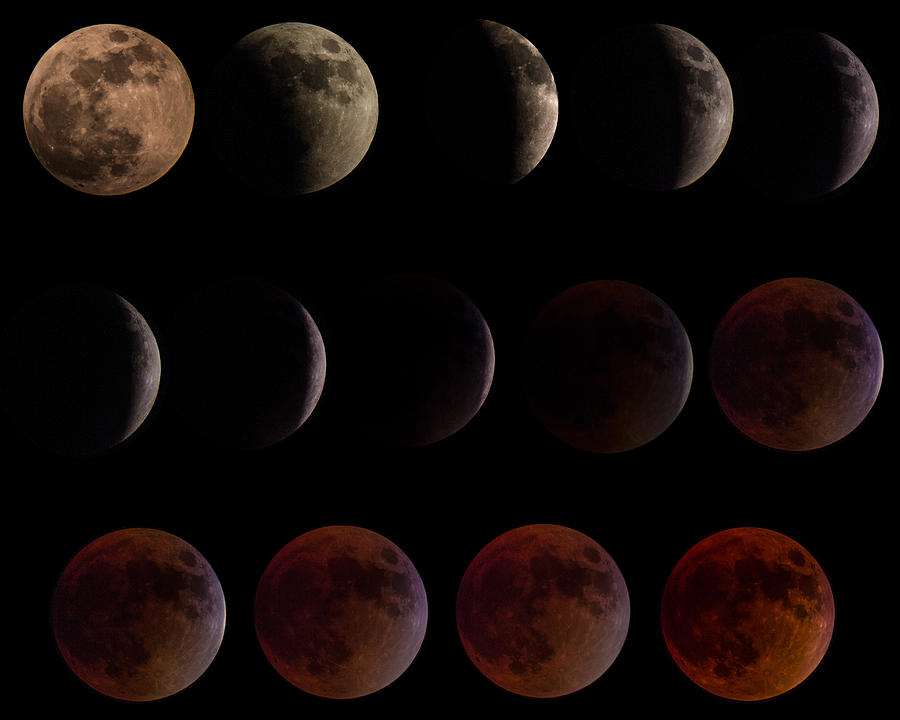 Eclipse Photograph - Lunar Eclipse Sequence by AllScapes Photography