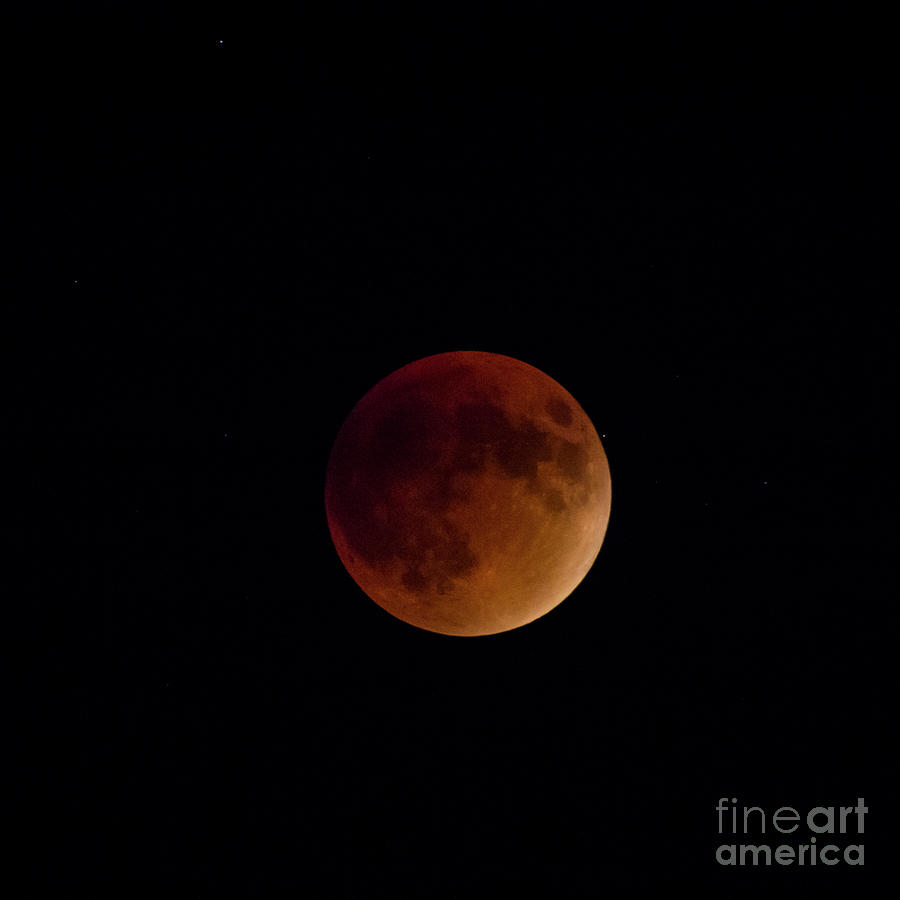 Lunar Eclipse Photograph by Spencer Baugh