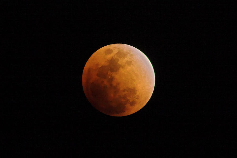 Lunar Eclipse-St Lucia Photograph by Chester Williams