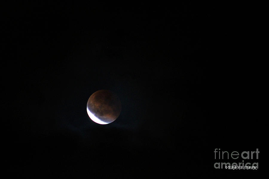 Lunar Eclipse Supermoon Bloodmoon III September 27th 2015 Photograph by Verana Stark