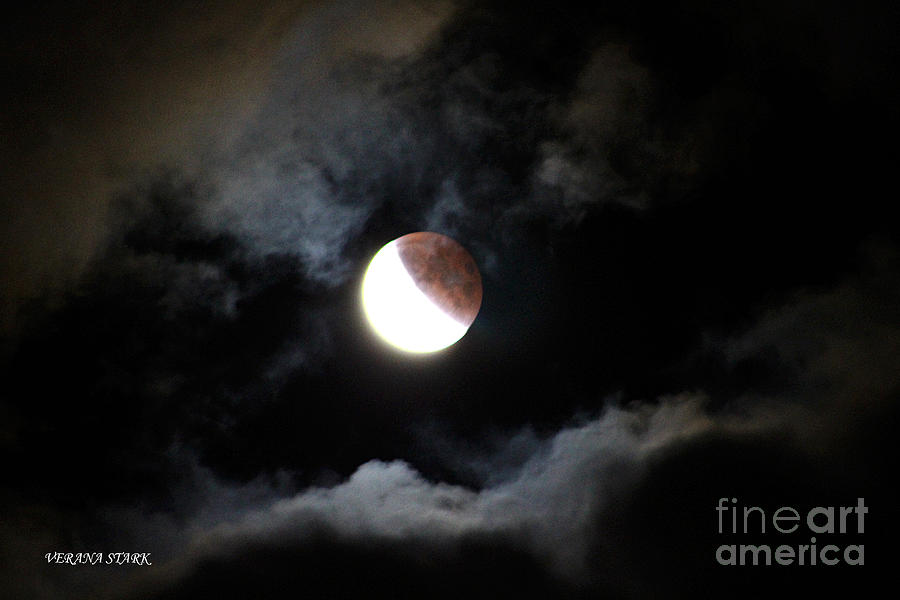 Lunar Eclipse Supermoon Bloodmoon IX September 27th 2015 Photograph by Verana Stark