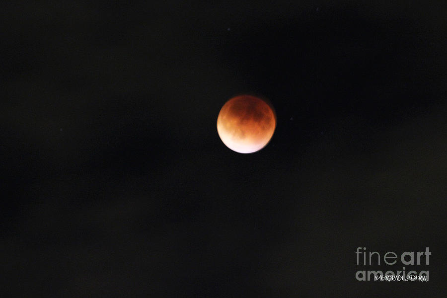 Lunar Eclipse Supermoon Bloodmoon I September 27th 2015 Photograph by Verana Stark