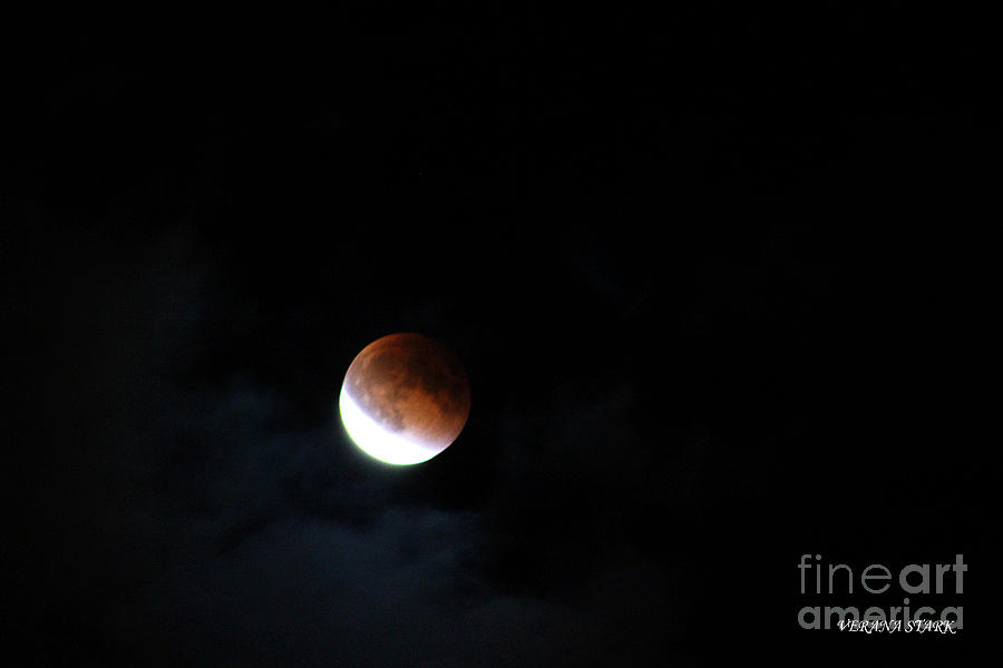 Lunar Eclipse Supermoon Bloodmoon V September 27th 2015 Photograph by Verana Stark