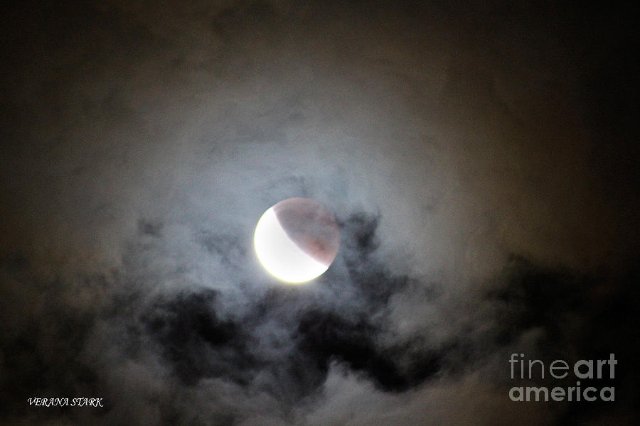 Lunar Eclipse Supermoon Bloodmoon VII September 27th 2015 Photograph by Verana Stark