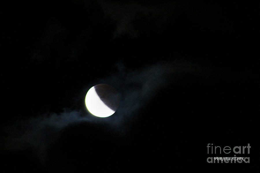 Lunar Eclipse Supermoon Bloodmoon X September 27th 2015 Photograph by Verana Stark