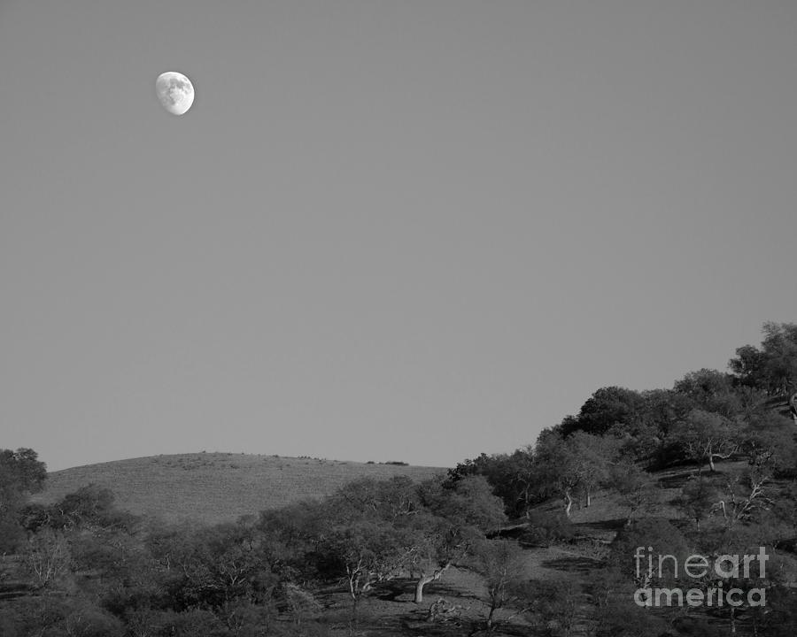 Lunar Hilltop Photograph Photograph by Kristen Fox